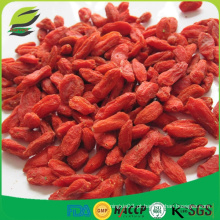 2016 venda quente USDA orgânica com goji berry certificada